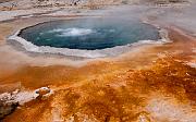 Crested Pool 6638
